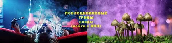 молекула духа Майский
