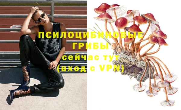 а пвп мука Магас