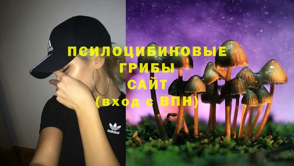 а пвп мука Магас
