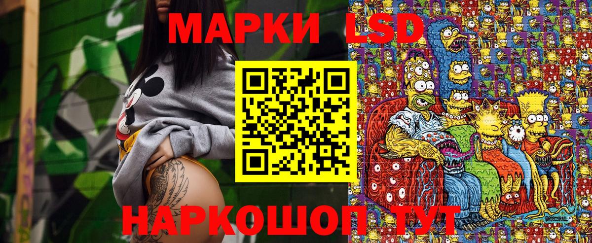 Псилоцибиновые грибы Тамбов
