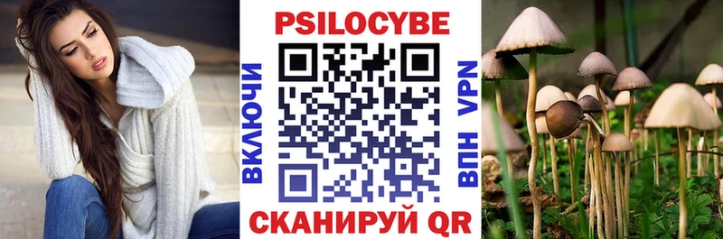 Псилоцибиновые грибы MAGIC MUSHROOMS  дарнет шоп  Тамбов 