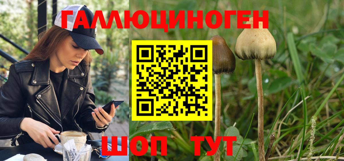 Псилоцибиновые грибы GOLDEN TEACHER  Вход с VPN  Галлюциногенные грибы мухоморы  Тамбов 