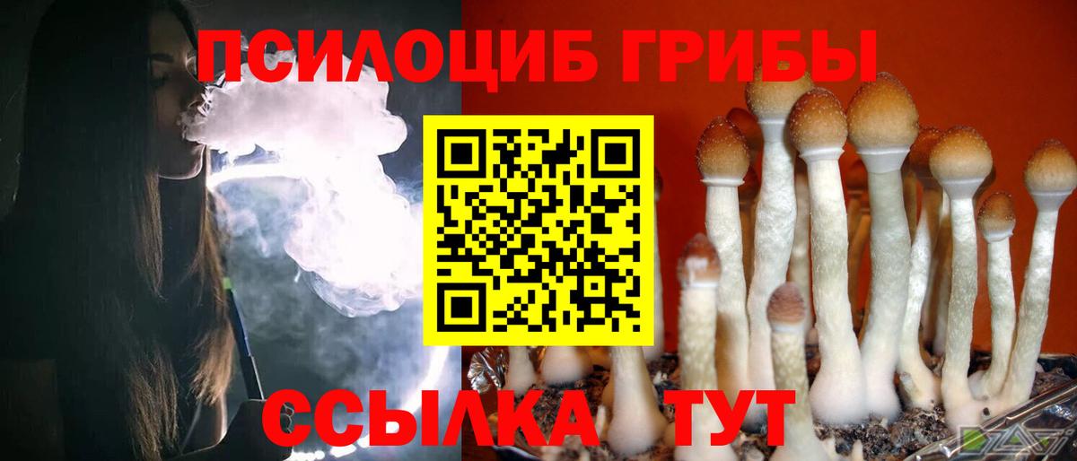 Галлюциногенные грибы прущие грибы Тамбов